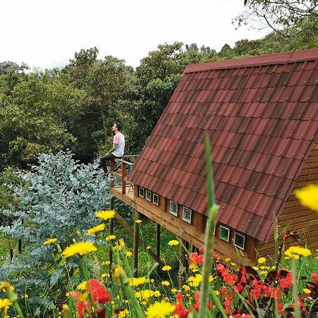 Chalets En Santa Elena En Medio Del Bosque Medellín Eksteriør bilde