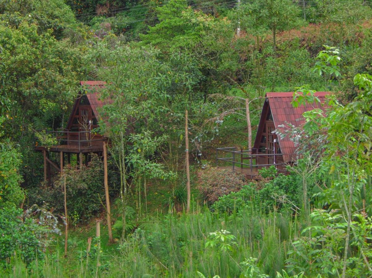 Chalets En Santa Elena En Medio Del Bosque Medellín Eksteriør bilde