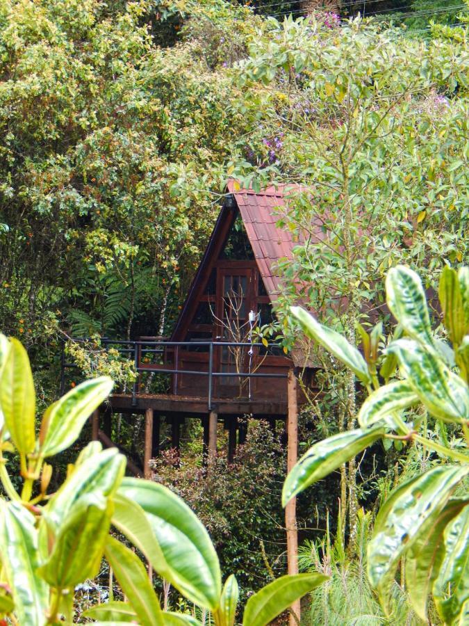 Chalets En Santa Elena En Medio Del Bosque Medellín Eksteriør bilde