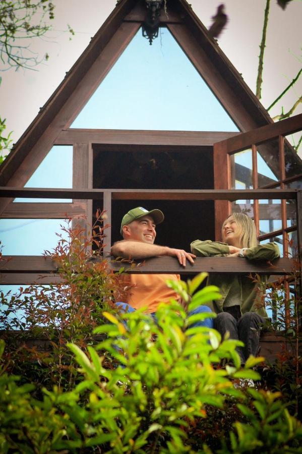 Chalets En Santa Elena En Medio Del Bosque Medellín Eksteriør bilde