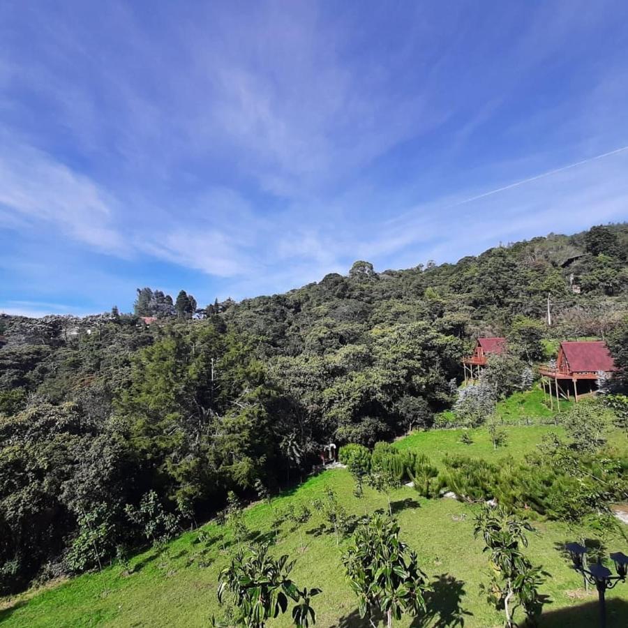 Chalets En Santa Elena En Medio Del Bosque Medellín Eksteriør bilde