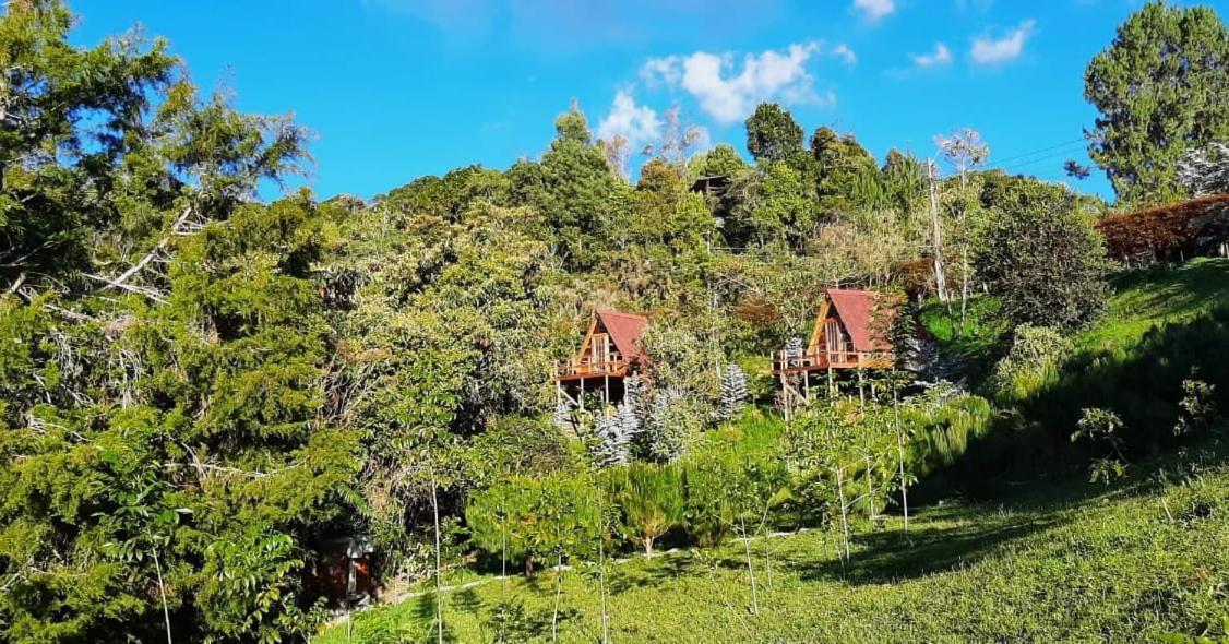 Chalets En Santa Elena En Medio Del Bosque Medellín Eksteriør bilde