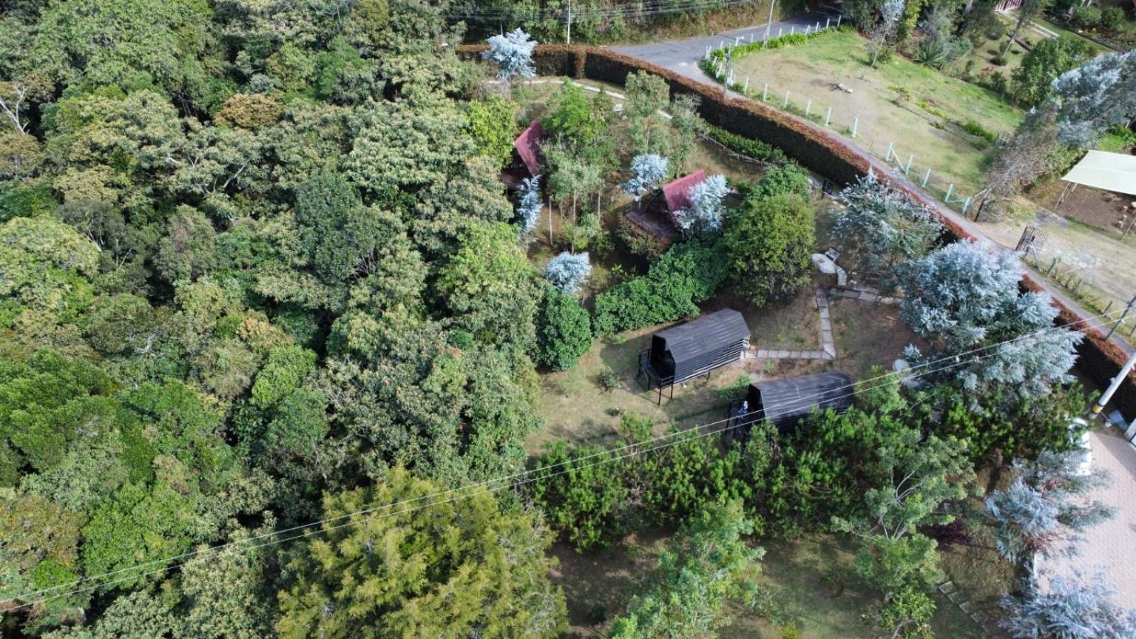 Chalets En Santa Elena En Medio Del Bosque Medellín Eksteriør bilde