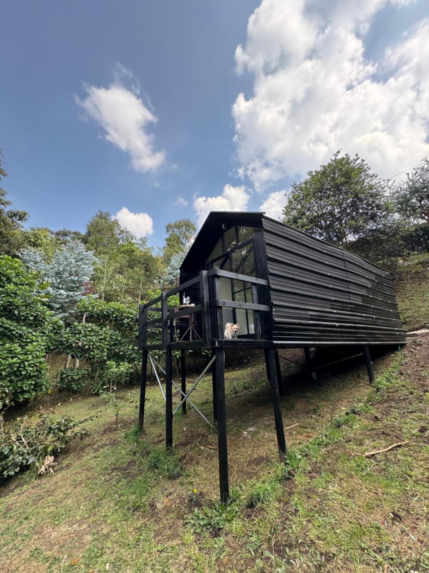 Chalets En Santa Elena En Medio Del Bosque Medellín Eksteriør bilde