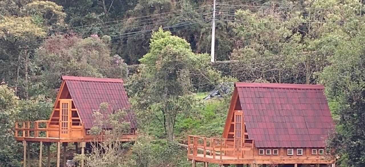 Chalets En Santa Elena En Medio Del Bosque Medellín Eksteriør bilde